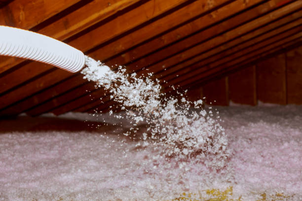 Best Residential Insulation in Oak Hill, FL