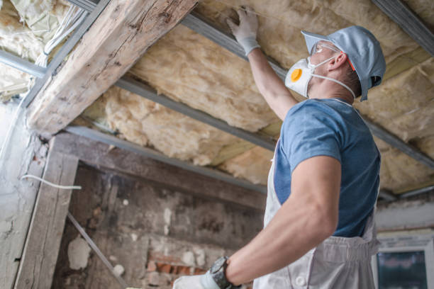 Best Residential Insulation in Oak Hill, FL