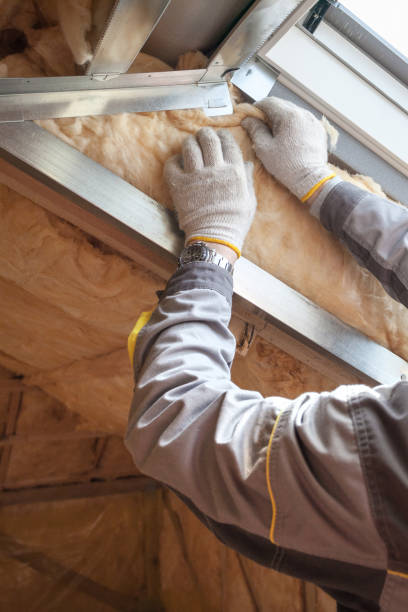 Best Commercial Insulation in Oak Hill, FL